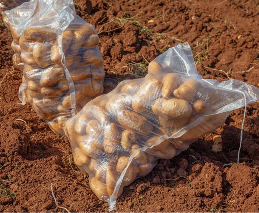 Saco de patatas de 10kg