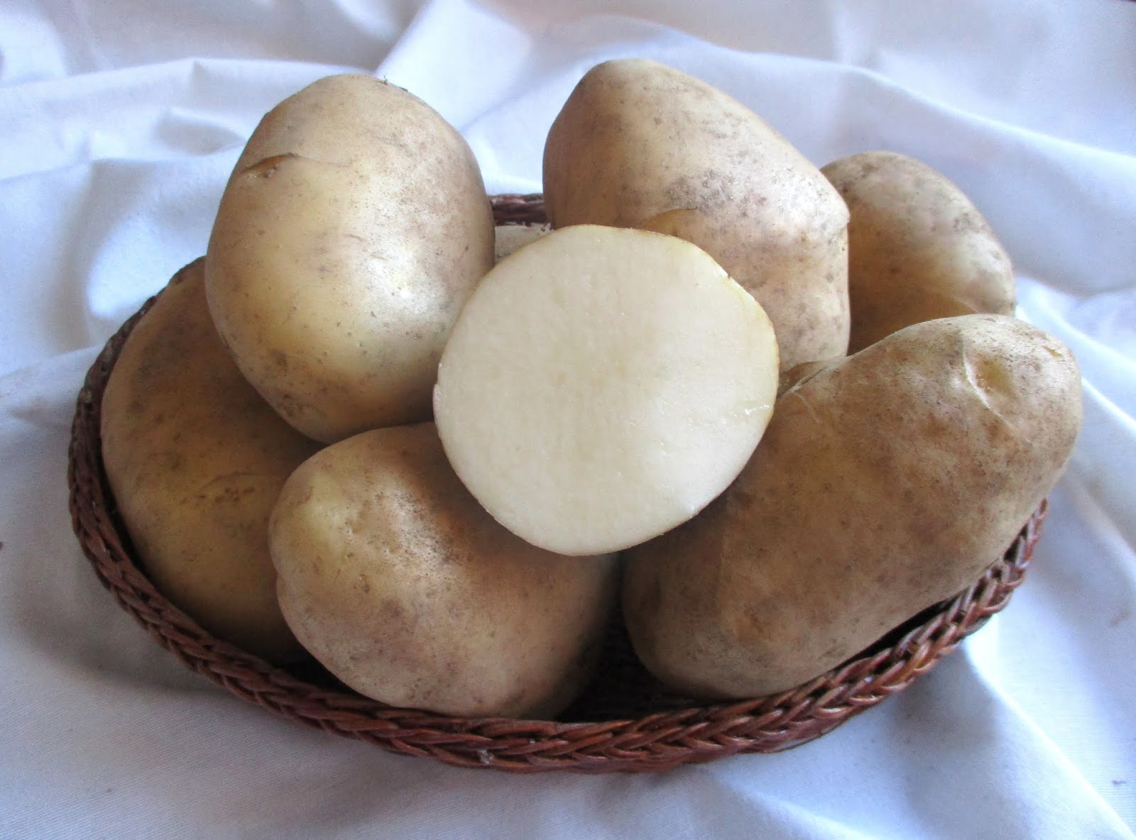 Patatas variedad Kennebec